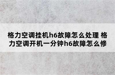 格力空调挂机h6故障怎么处理 格力空调开机一分钟h6故障怎么修